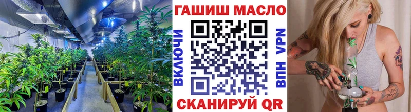 ТГК Wax  Камышин 