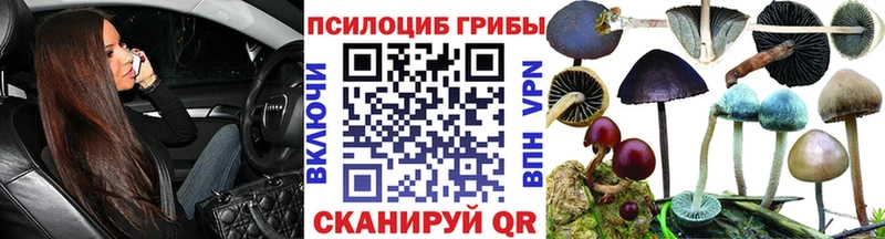Псилоцибиновые грибы мухоморы Камышин